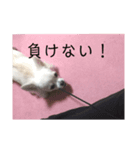ましゅたんぐ7（個別スタンプ：4）