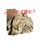 とりあえず、、、（個別スタンプ：5）