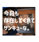 ヤマケンスタンプ ver.3（個別スタンプ：12）