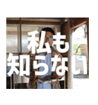 ヤマケンスタンプ ver.3（個別スタンプ：16）