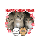 うちのねこたち日常会話（個別スタンプ：16）