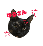 うちのねこたち日常会話（個別スタンプ：25）