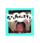 嗣凌のスタンプ（個別スタンプ：14）