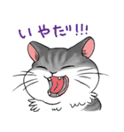 やさぐれた猫（個別スタンプ：2）
