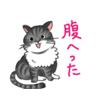 やさぐれた猫（個別スタンプ：3）