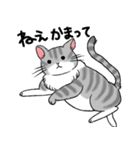 やさぐれた猫（個別スタンプ：4）