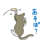 やさぐれた猫（個別スタンプ：12）