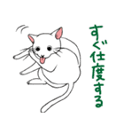 やさぐれた猫（個別スタンプ：13）