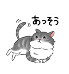 やさぐれた猫（個別スタンプ：14）