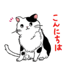 やさぐれた猫（個別スタンプ：17）