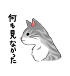 やさぐれた猫（個別スタンプ：20）