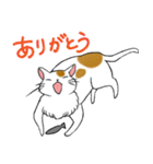 やさぐれた猫（個別スタンプ：23）
