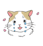 やさぐれた猫（個別スタンプ：31）