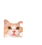お嬢きなこのスタンプ（個別スタンプ：9）