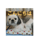 ケモォの犬【完全版】※おまけつき（個別スタンプ：2）
