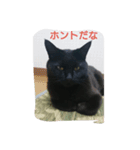 クロネコクロニャン（個別スタンプ：5）