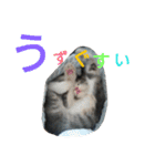 こだい使いやすいな、こだえらんね！part8（個別スタンプ：8）