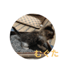 こだい使いやすいな、こだえらんね！part8（個別スタンプ：32）