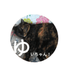 こだい使いやすいな、こだえらんね！part8（個別スタンプ：35）