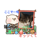 こだい使いやすいな、こだえらんね！part8（個別スタンプ：36）