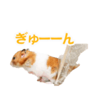プーハム スタンプストア（個別スタンプ：7）