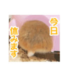 プーハム スタンプストア（個別スタンプ：8）