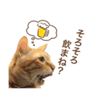 はたらく猫部長1（個別スタンプ：21）