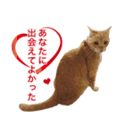 はたらく猫部長1（個別スタンプ：26）