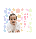 ひよちゃんのスタンプ。（個別スタンプ：5）