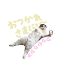 ひよちゃんのスタンプ。（個別スタンプ：6）