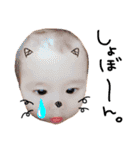 らいちゃん。（個別スタンプ：3）
