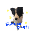 スカイと愉快な仲間たち。（個別スタンプ：2）