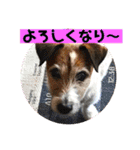 ぼく大吉です(^-^)/（個別スタンプ：1）