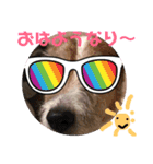ぼく大吉です(^-^)/（個別スタンプ：2）