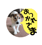 ぼく大吉です(^-^)/（個別スタンプ：5）