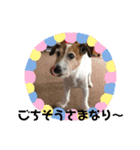 ぼく大吉です(^-^)/（個別スタンプ：8）