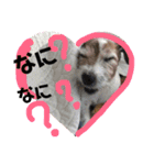 ぼく大吉です(^-^)/（個別スタンプ：11）