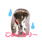ぼく大吉です(^-^)/（個別スタンプ：12）