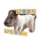 ぼく大吉です(^-^)/（個別スタンプ：14）