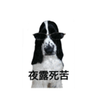 聖砂未だよ全員集合 vol.1（個別スタンプ：5）
