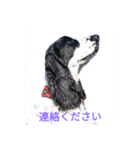 聖砂未だよ全員集合 vol.1（個別スタンプ：6）