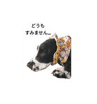 聖砂未だよ全員集合 vol.1（個別スタンプ：8）