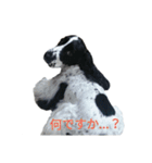 聖砂未だよ全員集合 vol.1（個別スタンプ：9）