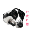 聖砂未だよ全員集合 vol.1（個別スタンプ：10）