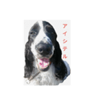 聖砂未だよ全員集合 vol.1（個別スタンプ：12）