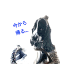 聖砂未だよ全員集合 vol.1（個別スタンプ：14）