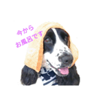 聖砂未だよ全員集合 vol.1（個別スタンプ：15）