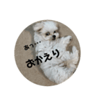 愛犬みりちゃん（個別スタンプ：7）