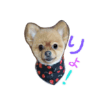 明瞭簡潔（個別スタンプ：1）