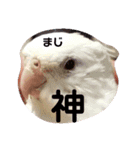 明瞭簡潔（個別スタンプ：3）